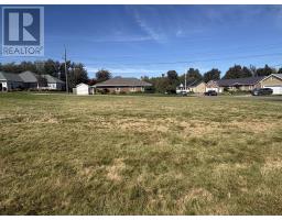 596 Terrace Street, New Glasgow, NS B2H6B4 Photo 21