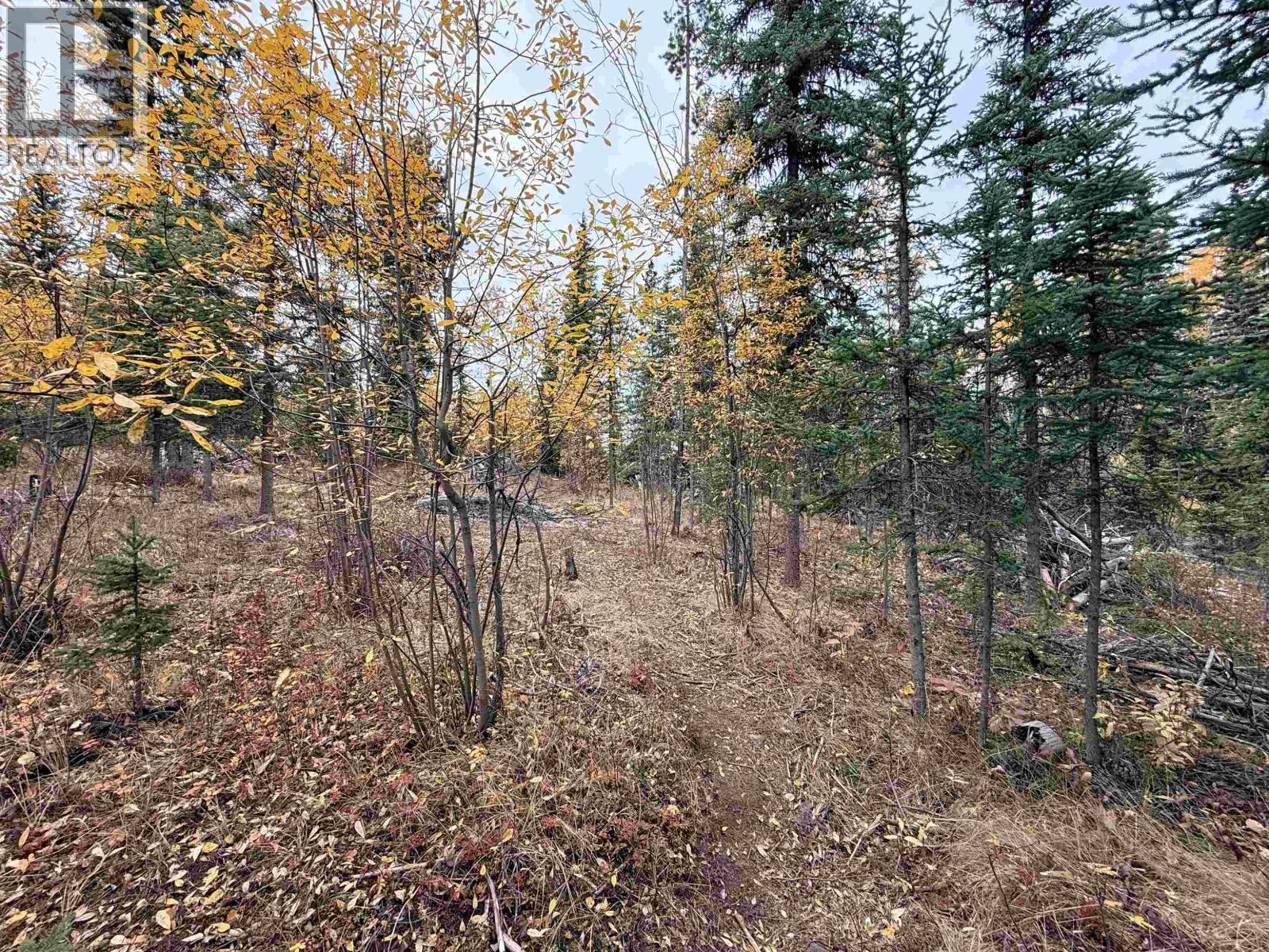 7603 MERLYN ROAD - 23