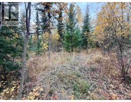7603 Merlyn Road, Deka Lake / Sulphurous / Hathaway Lakes, BC V0K1X3 Photo 24