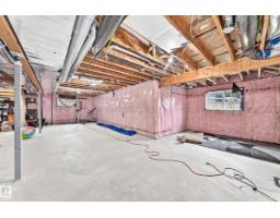 1667 Enright Wy Nw Nw, Edmonton, AB T6M0Z2 Photo 63