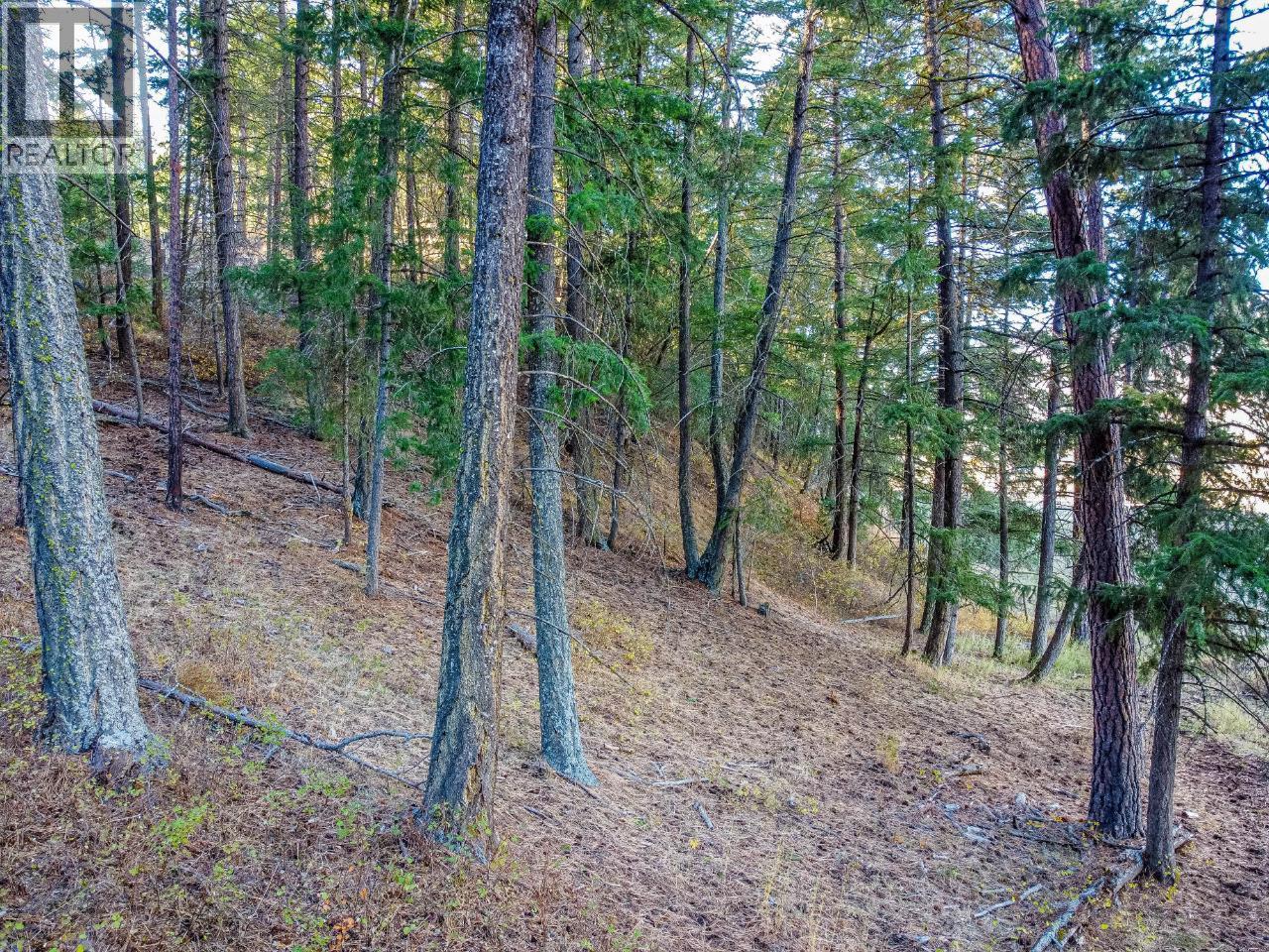  1740 MACAULAY Road, Merritt