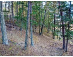 1740 Macaulay Road, Merritt, BC V0K2L0 Photo 63