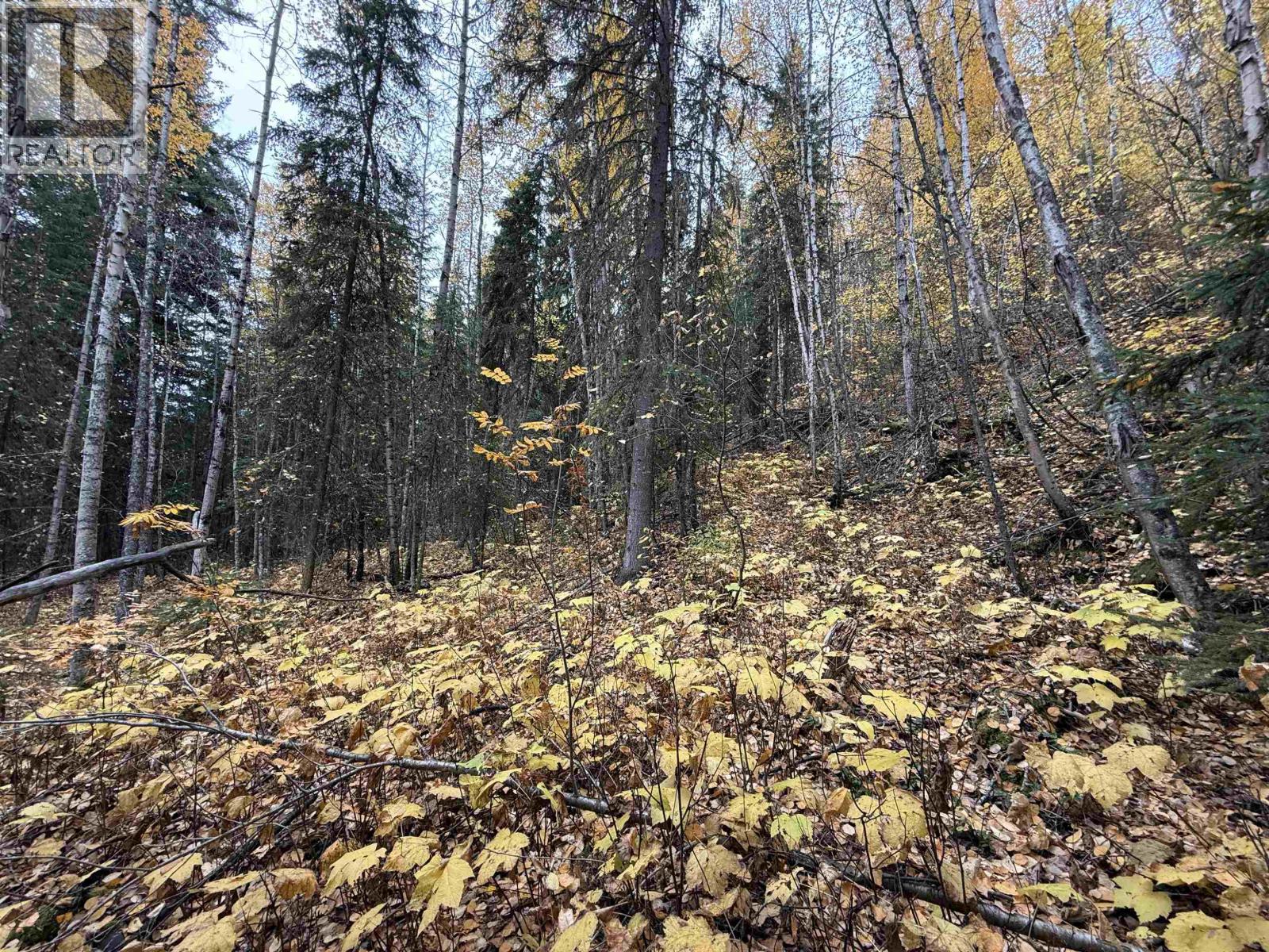 LOT 6 FRANCESS Drive, Quesnel - Image 1