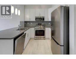 Laundry room - 307, 207 Sunset Drive, Cochrane, AB T4C0H7 Photo 7