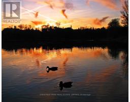 Rear - 95 Parkside Drive, Toronto, ON M6R2Y8 Photo 47