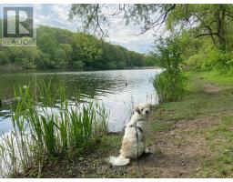 Rear - 95 Parkside Drive, Toronto, ON M6R2Y8 Photo 44