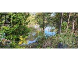 20 & 22 2nd Street, Arran Elderslie, ON N0G1L0 Photo 7