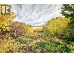 127, 100 Coopers Common Sw, Airdrie, AB T4B3C7 Photo 38