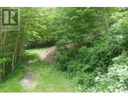 1232 1234 River Road, Bear River, NS B0S1B0 Photo 8