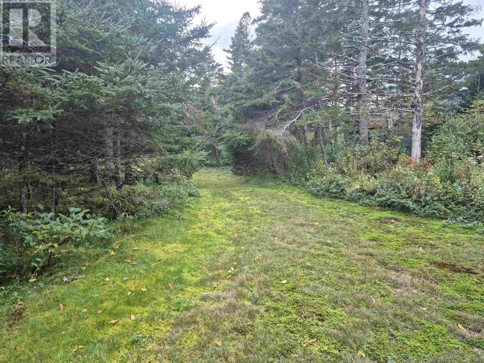 Property 32 of 36 of 588 Isaacs Harbour Road