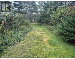 588 Isaacs Harbour Road, Isaacs Harbour, NS B0H1S0 Photo 33
