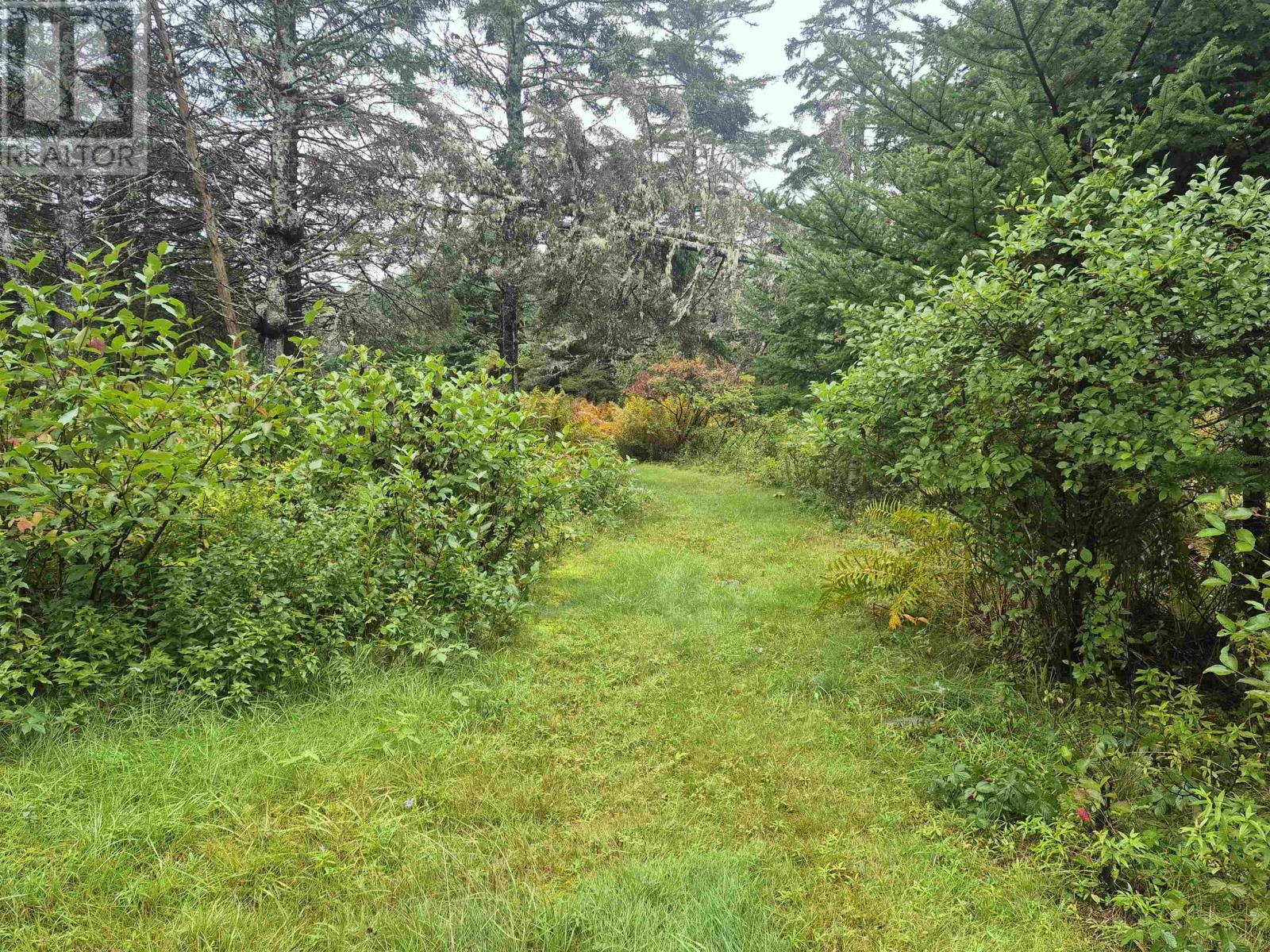 588 Isaacs Harbour Road - 29