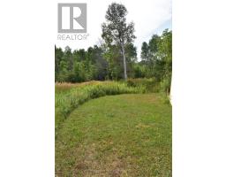 1390 69 Highway N, Parry Sound Remote Area, ON P0G1A0 Photo 41