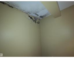 #9 60528 Rge Rd 464a, Rural Bonnyville M D , AB T9N2J6 Photo 33