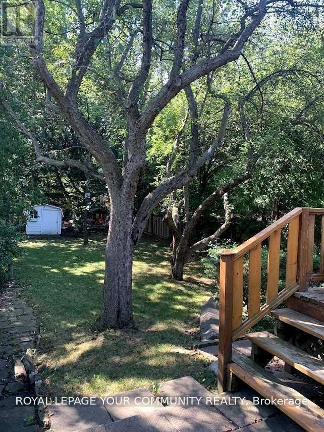 223 MCKEE AVENUE, Toronto (Willowdale East) — photo 5