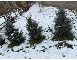 112 9002 Hwy 16, Rural Yellowhead, AB T0E2M0 Photo 24