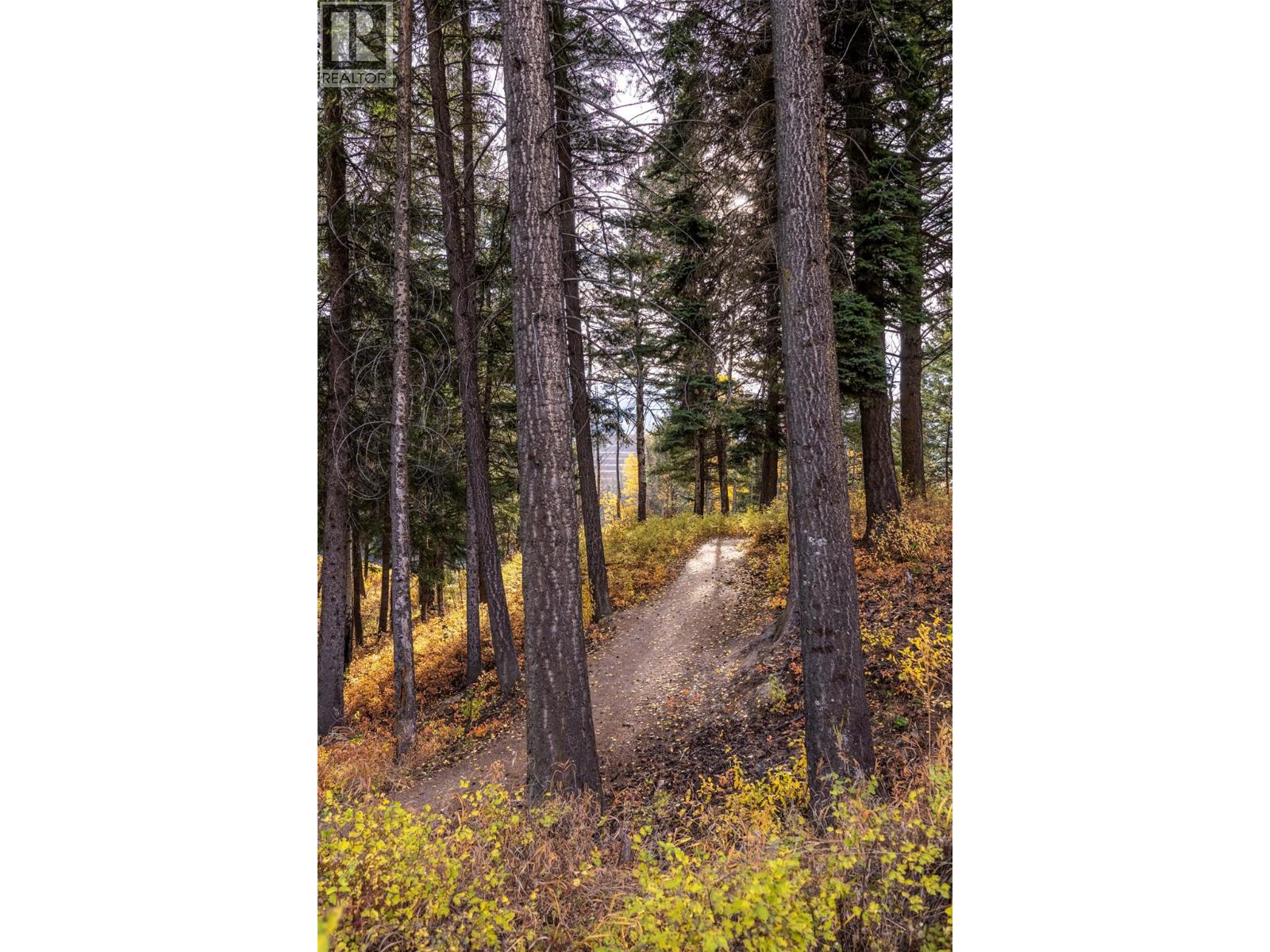 #210 1330 Whitewood Crescent - 40