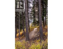 1330 Whitewood Crescent Unit# 210, Sparwood, BC V0B2G2 Photo 40