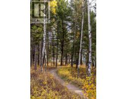 1330 Whitewood Crescent Unit# 210, Sparwood, BC V0B2G2 Photo 41