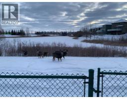 92 Everhollow Way Sw, Calgary, AB T2Y4R7 Photo 31