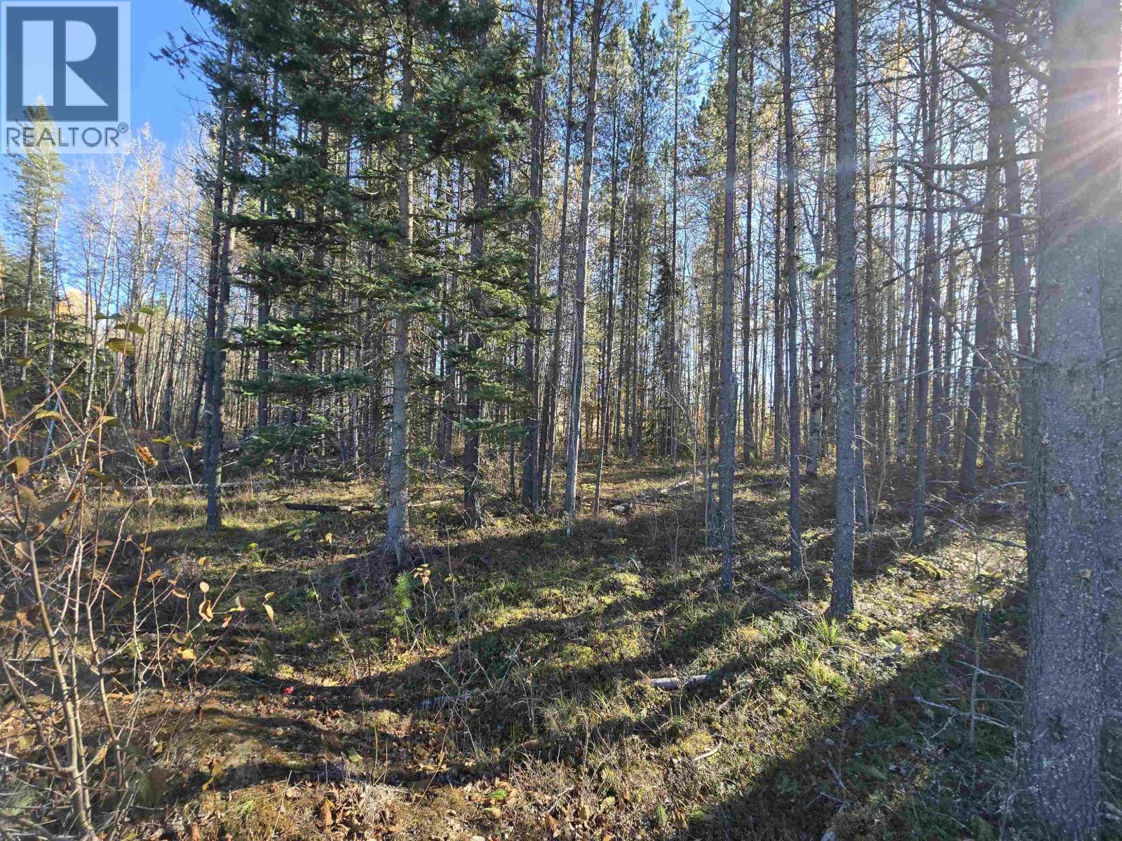  1075 18TH Avenue, Valemount - Image 1