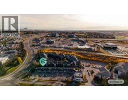 215, 10 Sierra Morena Mews SW - photo 48