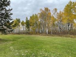 58153 10n Road, Menisino, MB R0A1Y0 Photo 14
