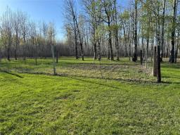 58153 10n Road, Menisino, MB R0A1Y0 Photo 16