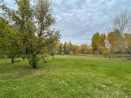 58153 10n Road, Menisino, MB R0A1Y0 Photo 18
