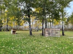 58153 10n Road, Menisino, MB R0A1Y0 Photo 20