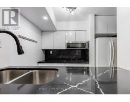 107 - 3 Everson Drive, Toronto, ON M2N7C2 Photo 14