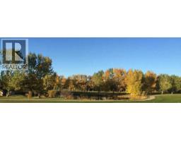 826 Stonehaven Drive, Carstairs, AB T0M0N0 Photo 24