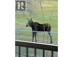 826 Stonehaven Drive, Carstairs, AB T0M0N0 Photo 29
