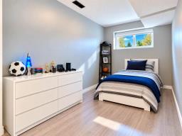 107 Ostafiew Farm Road, Winnipeg, MB R2R2C4 Photo 24