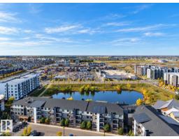#306 11804 22 Av Sw, Edmonton, AB T6W2A2 Photo 14