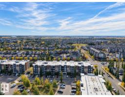 #306 11804 22 Av Sw, Edmonton, AB T6W2A2 Photo 15