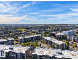 #306 11804 22 Av Sw, Edmonton, AB T6W2A2 Photo 17