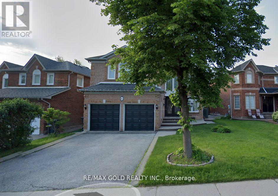 BASEMENT - 41 MOUNTAINBERRY ROAD, Brampton (Sandringham-Wellington)