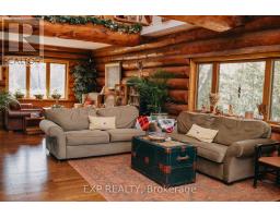 1258 County Road 22 Road, Lakeshore, ON N0R1C0 Photo 20