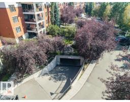 #209 9819 96a St Nw, Edmonton, AB T6A4A2 Photo 59