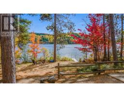 20683 60 Highway E, Madawaska Valley, ON K0J1B0 Photo 13