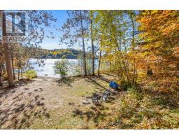 20683 60 Highway E, Madawaska Valley, ON K0J1B0 Photo 30