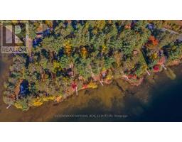 20683 60 Highway E, Madawaska Valley, ON K0J1B0 Photo 6