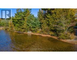 20683 60 Highway E, Madawaska Valley, ON K0J1B0 Photo 7