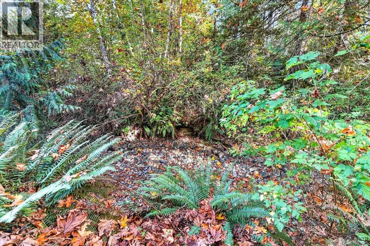 3 10325 Lakeshore Rd, Port Alberni - Image 1