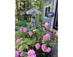 Unit 123 - 383 Mcnabb Street, Saugeen Shores, ON N0H2L0 Photo 42