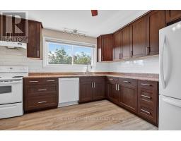 Recreational, Games room - 964 Connaught Avenue, Ottawa, ON K2B5M9 Photo 7
