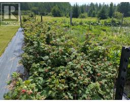 Pcl23545 Sec 16 Lauzon Road, Rainy River Remote Area, ON P0W1K0 Photo 11