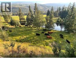 2460 Pye Road Road, Clearwater, BC V0E1N1 Photo 25