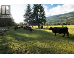 2460 Pye Road Road, Clearwater, BC V0E1N1 Photo 32